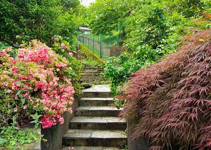 ヴィラ La Palma *